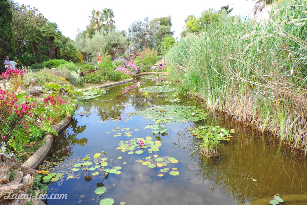 Jardín Botánico Marimurtra 14