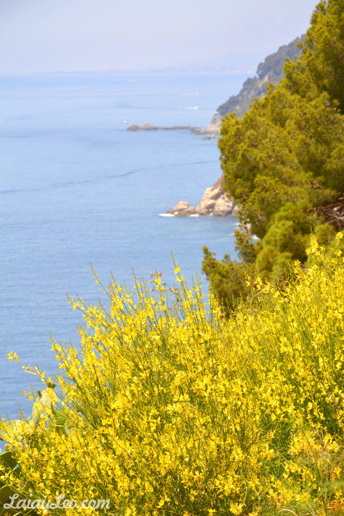 Tossa de Mar 05