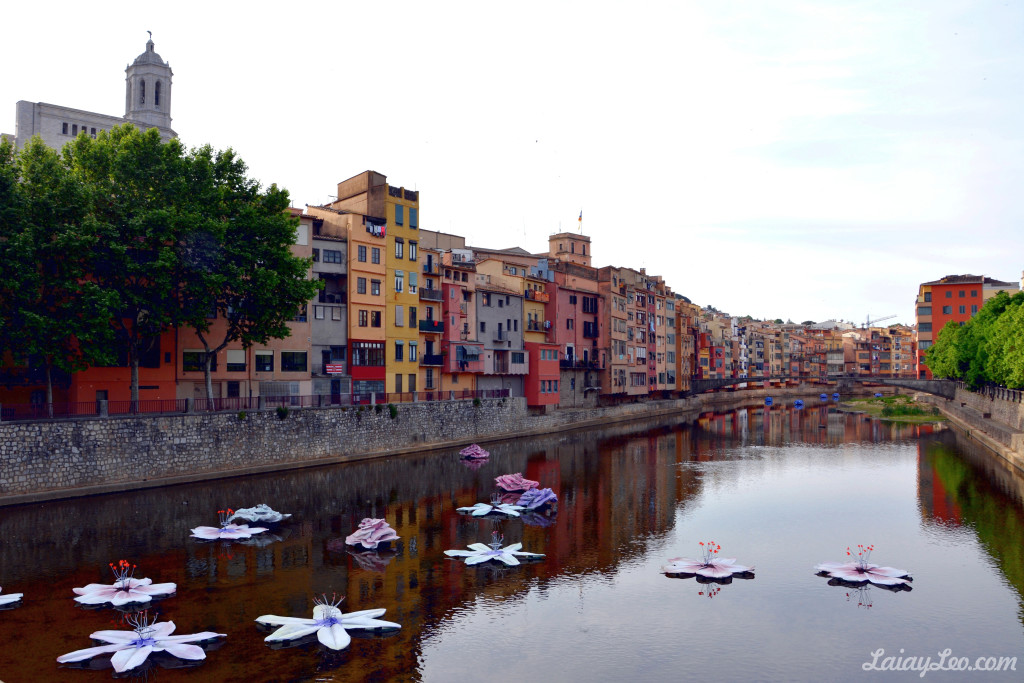 Girona, temps de flors 01